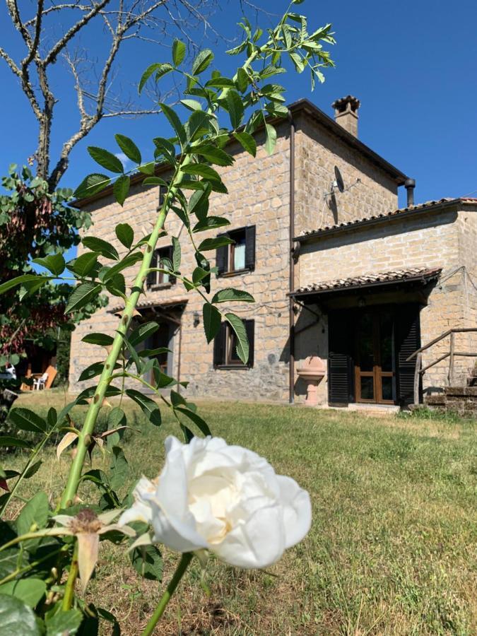 Casa Di Monica Villa Torre San Severo Exterior photo